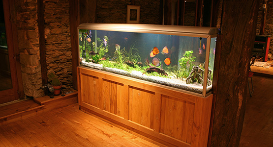 Paramount Aquarium